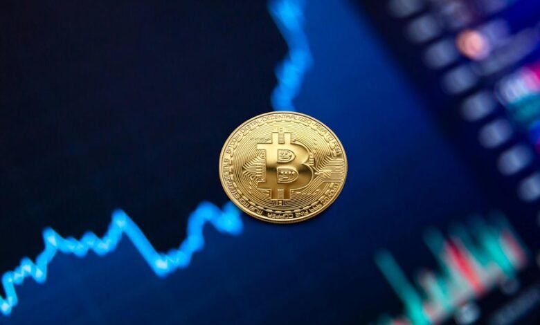 edel mid cap fund