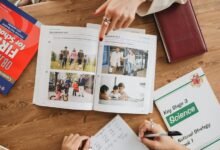 key facts about 336621955