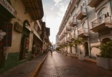 shopping history and offers