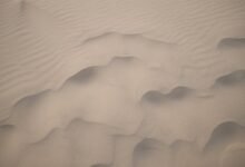 understanding nature s landscape