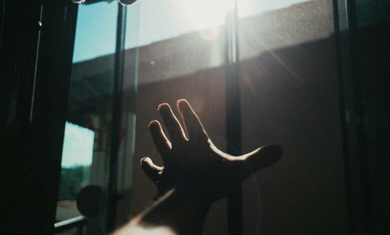 organic reach through optimization