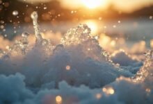 8 Cold Plunges for Recovery Worth Buying in 2026